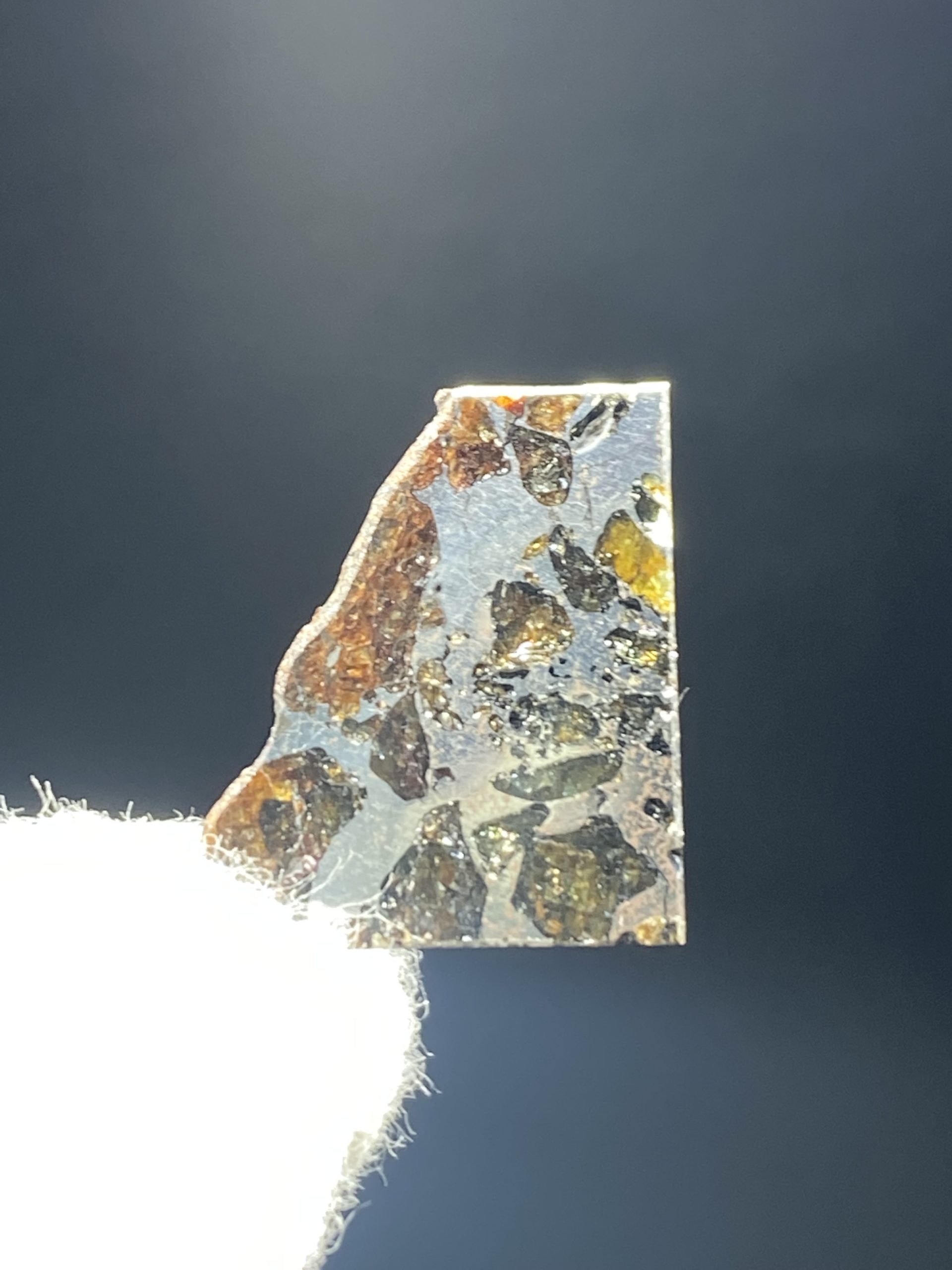 セリコ隕石落下地点『鑑別書付き』宇宙飛行士　パラサイト隕石　& ギベオン隕石　メテオライト 世界初